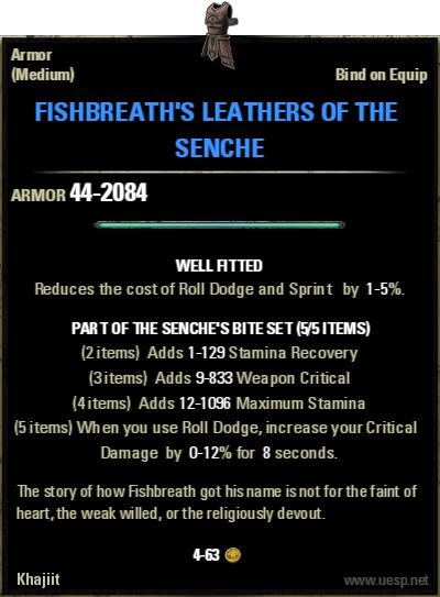Файл:ON-item-Fishbreath's Leathers of the Senche.jpg