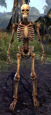 Файл:ON-polymorph-Gemstone of Skeletal Visage.jpg