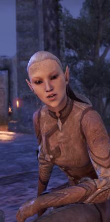 Файл:ON-npc-Scout Annathiel.jpg