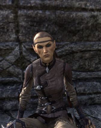 Файл:ON-npc-Scout Lorumel.jpg