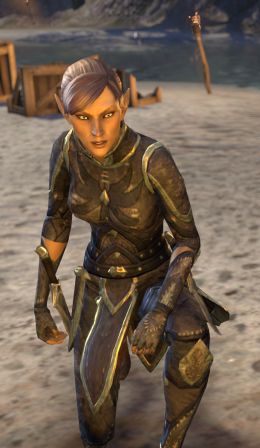 Файл:ON-npc-Striker Aldewe.jpg