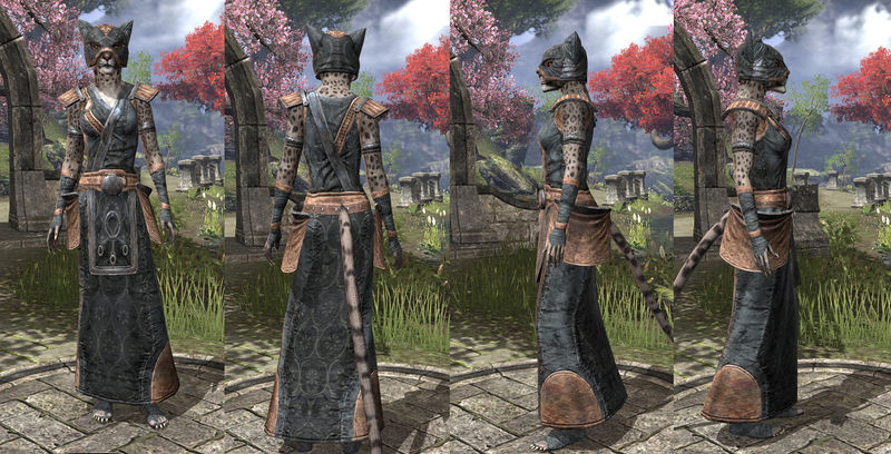 Файл:ON-item-armor-Linen-Robe-Khajiit-Female.jpg