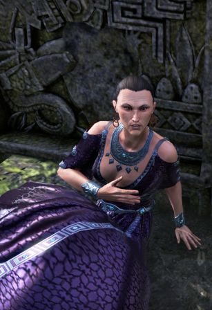 Файл:ON-npc-Councilor Jirich.jpg