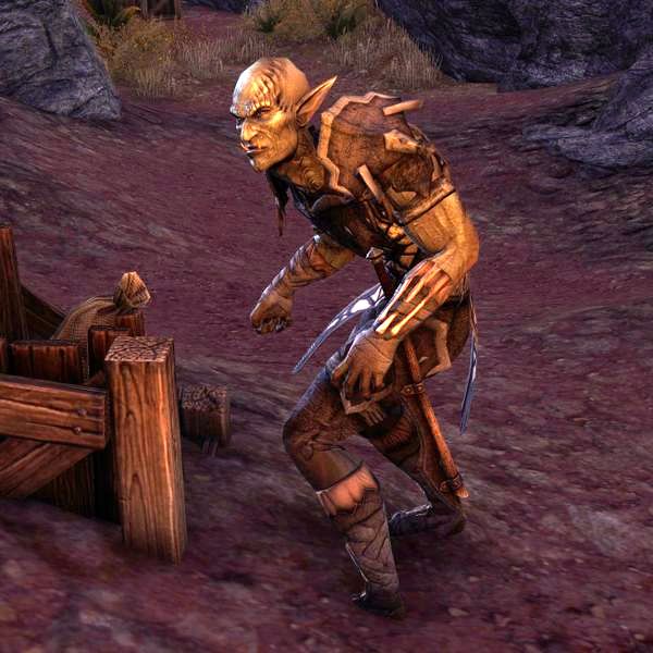 Файл:ON-npc-Rotblood Butcher.jpg