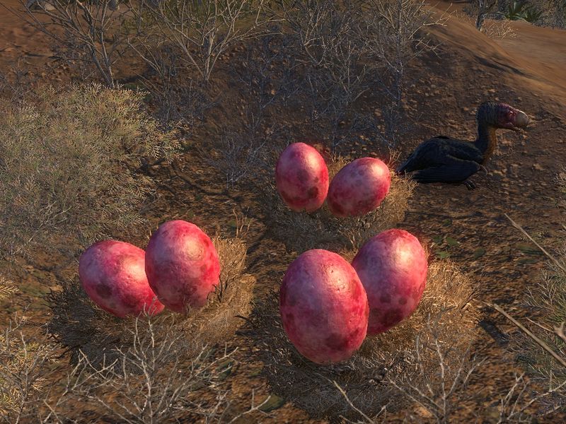 Файл:ON-place-Talon Gulch 02.jpg