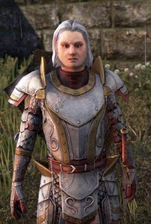 Файл:ON-npc-Sir Edmund.jpg