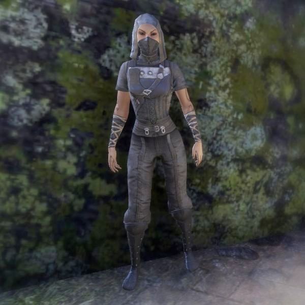 Файл:ON-costume-Crafty Lerisa's Thief Outfit (Female).jpg