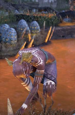 Файл:ON-npc-Egg-Tender Меепа.jpg