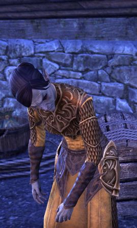 Файл:ON-npc-Priest Direnna.jpg