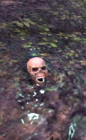 Файл:ON-npc-Scull Dringoth.jpg