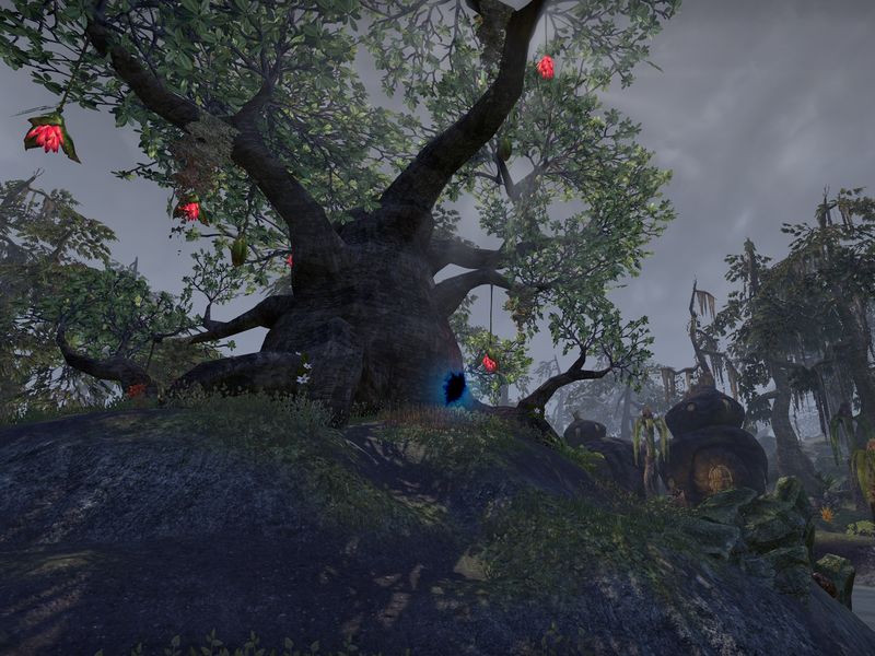 Файл:ON-time breach-Percolating Mire.jpg