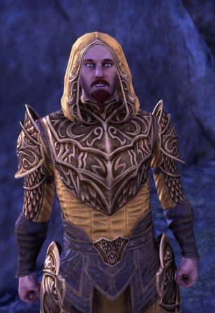 Файл:ON-npc-Priest Isonir.jpg