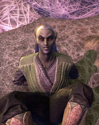 Файл:ON-npc-Captive 01.jpg