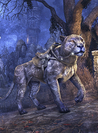 Файл:ON-card-Indigo Senche-Panther.png