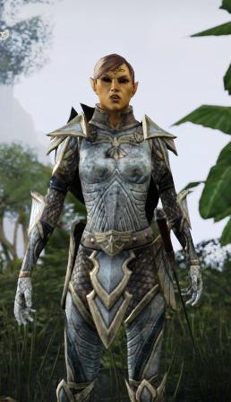 Файл:ON-npc-Major Cirenwe.jpg