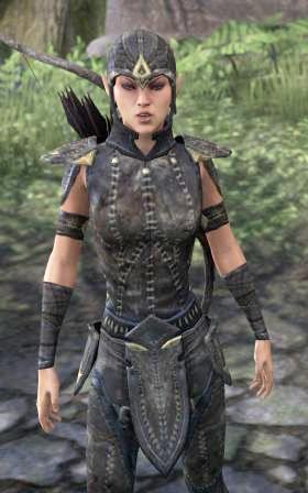 Файл:ON-npc-Soldier Garion.jpg