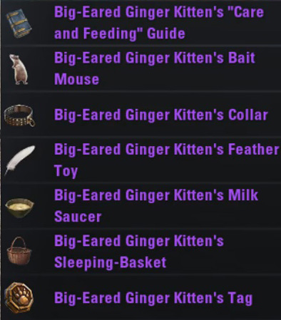 Файл:ON-item-pet-Big-Eared Ginger Kitten.jpg