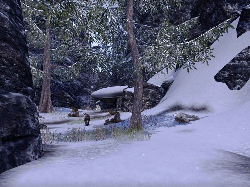 Файл:ON-place-Ammabani's Pride.jpg