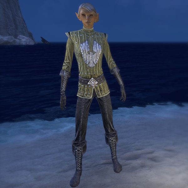 Файл:ON-costume-Alliance Rider Outfit (Dominion female).jpg