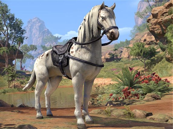 Файл:ON-mount-White Spotted Courser.jpg