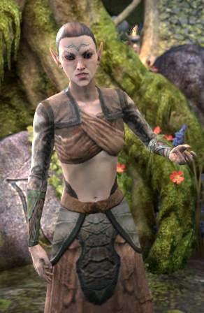 Файл:ON-npc-Treethane Nilara.jpg