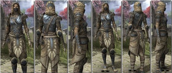 Файл:ON-item-armor-Iron-f-Outlaw Style.jpg