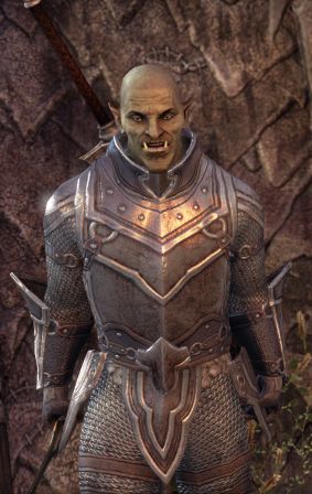 Файл:ON-npc-Captain Dugakh.jpg