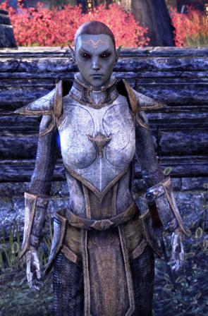 Файл:ON-npc-Defender Verilu.jpg