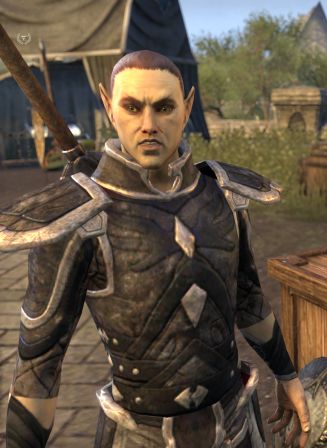 Файл:ON-npc-Captain Sarandil.jpg