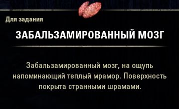 Файл:ON-item-quest-The Preservation of Life 03.jpg