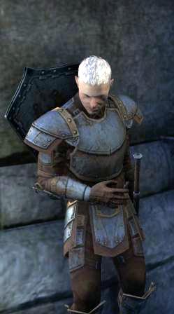 Файл:ON-npc-Sir Kalhot Nalskin.jpg