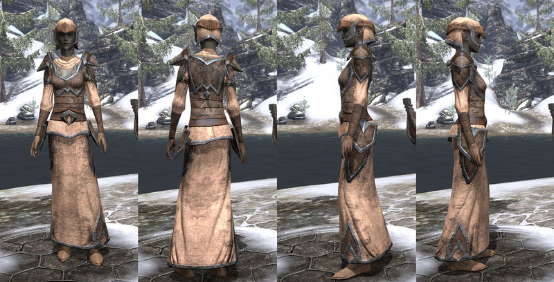 Файл:ON-item-armor-Homespun-Robe-Dunmer-Female.jpg