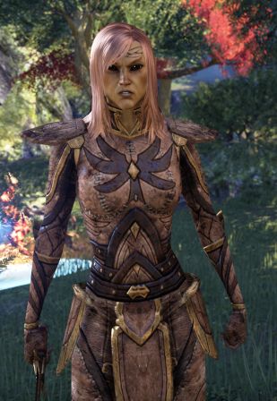 Файл:ON-npc-Sergeant Artinaire.jpg