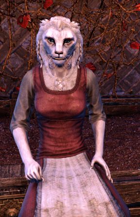 Файл:ON-npc-Narahni 06.jpg