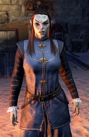 Файл:ON-npc-Velsa 07.jpg