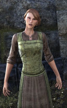 Файл:ON-npc-Nari Buteo.jpg