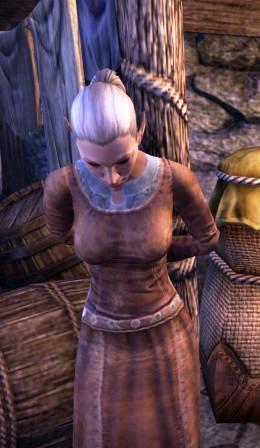 Файл:ON-npc-Ambassador Sariel.jpg