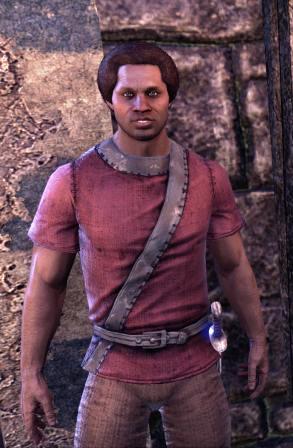 Файл:ON-npc-Crown Warden Serai.jpg