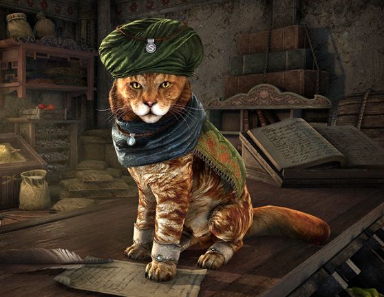 Файл:ON-npc-Fezez the Merchant.jpg