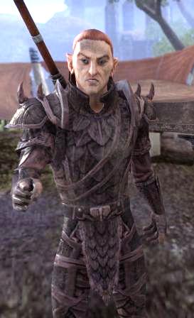 Файл:ON-npc-Captain Odreth.jpg