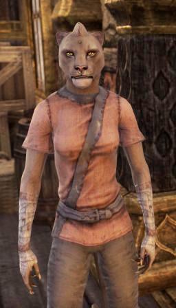 Файл:ON-npc-Tazia 01.jpg