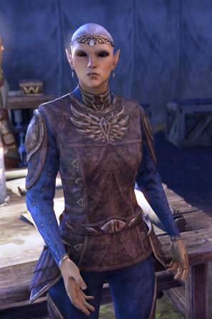 Файл:ON-npc-Quartermaster Nurwalne.jpg