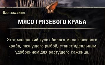 Файл:ON-quest-The Sapling 06.jpg