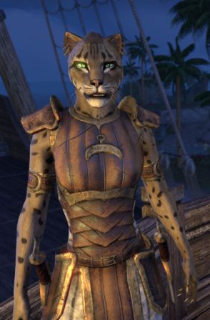 Файл:ON-npc-Captain Jimilia.jpg