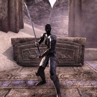 Файл:ON-npc-Armiger Rhina.jpg