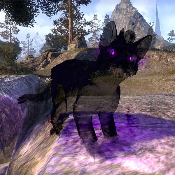 Файл:ON-pet-Gloam Gryphon Fledgling-s.jpg