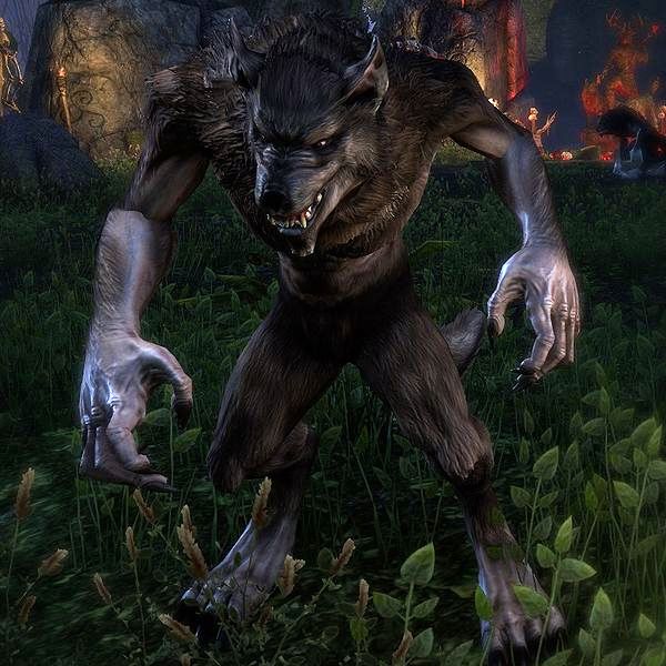 Файл:ON-misc-Player Werewolf.jpg
