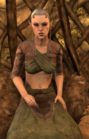 Файл:ON-npc-Treethane Niriel.jpg