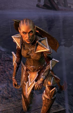 Файл:ON-npc-Battlereeve Alduril.jpg