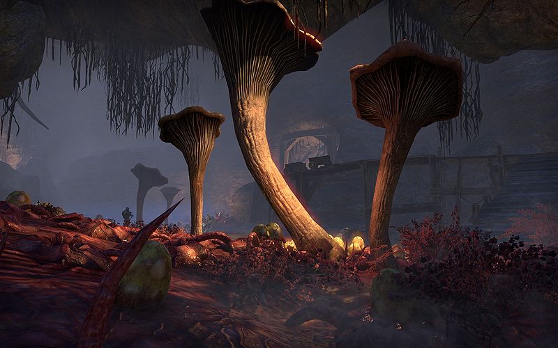 Файл:ON-place-Darkshade Caverns 01.jpg